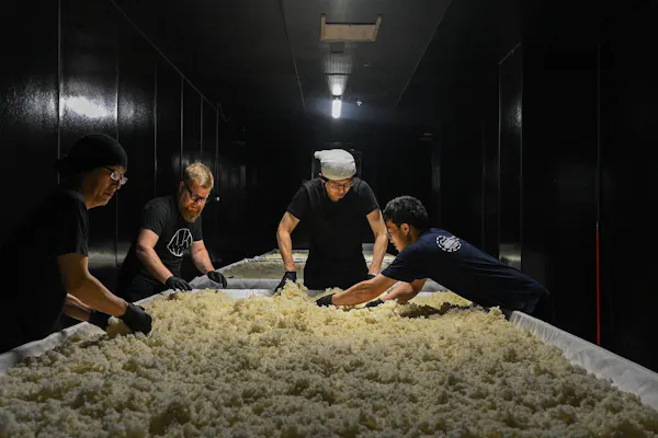 food, ingredient, food processing
