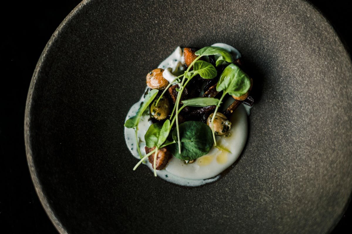 Table X Salt Lake City, UT Tock