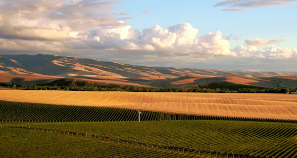agriculture, hill, field, plain, plantation, ecoregion