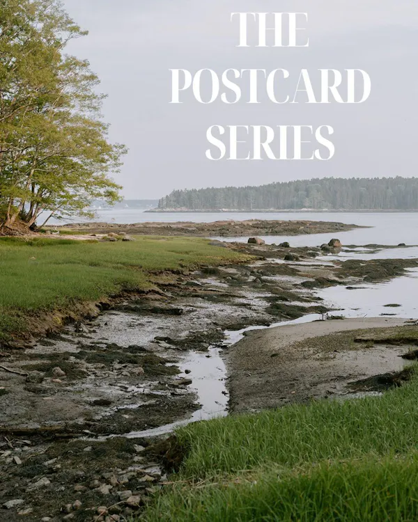 water resources, coast, coastal and oceanic landforms, shore, wetland, fluvial landforms of streams