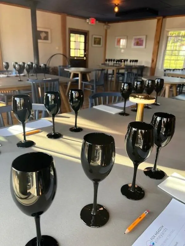 stemware, tableware, drinkware, wine glass, barware, glass