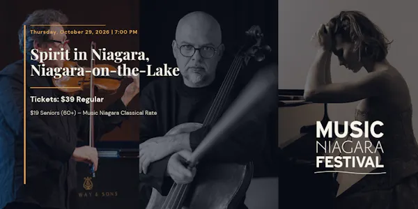 musician, musical instrument, event, chordophone, performing arts, entertainment