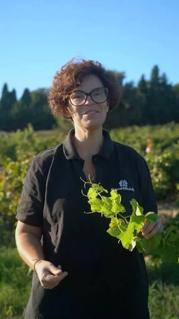 agriculture, farmworker, grapes, plantation, soil, grapevines
