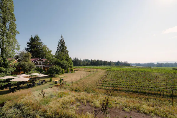land lot, rural area, cottage, plantation, field, meadow