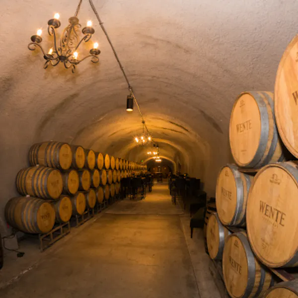 barrel, winery, wine cellar, brewery, keg