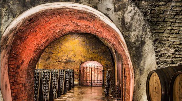 arch, barrel, winery, wine cellar, brick, arcade