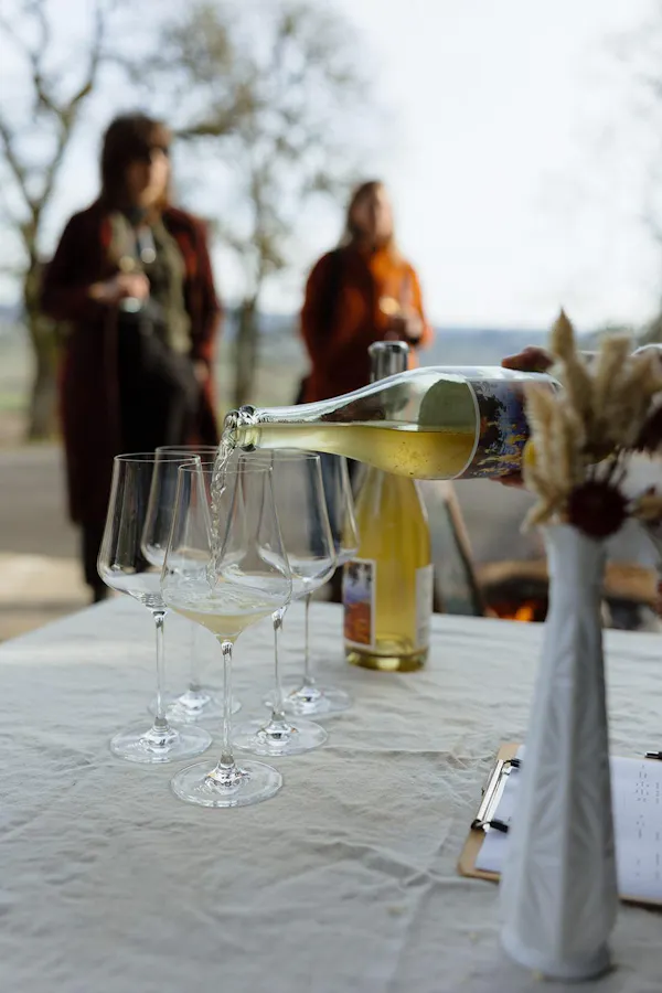 stemware, drinkware, tableware, wine glass, alcoholic drink, barware