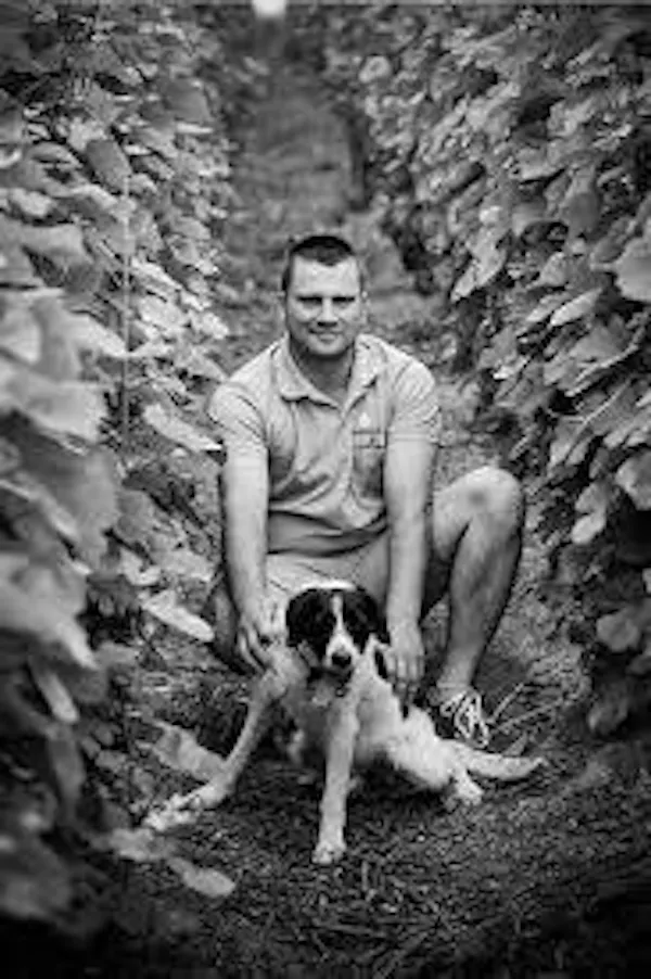 dog, carnivores, monochrome photography, black, black and white, monochrome