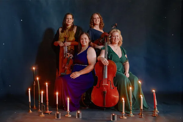 violin family, chordophone, string instrument, bowed string instrument, cello, dress