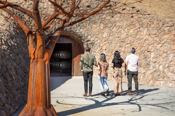 brown, vacation, shadow