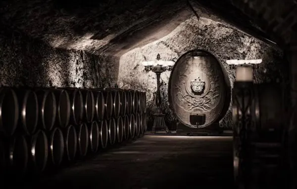 barrel, winery, wine cellar, still life photography, basement