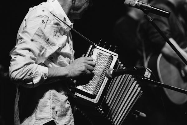 accordionist, musical instrument, free reed aerophone, musician, squeezebox, microphone