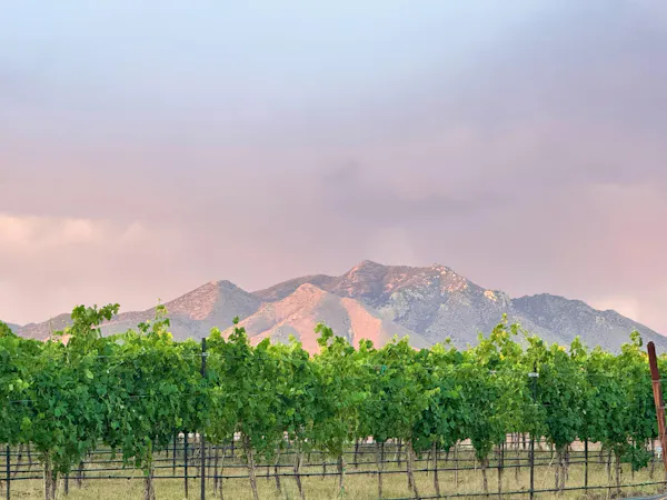 mountain, hill, agriculture, hill station, plantation, mountain range
