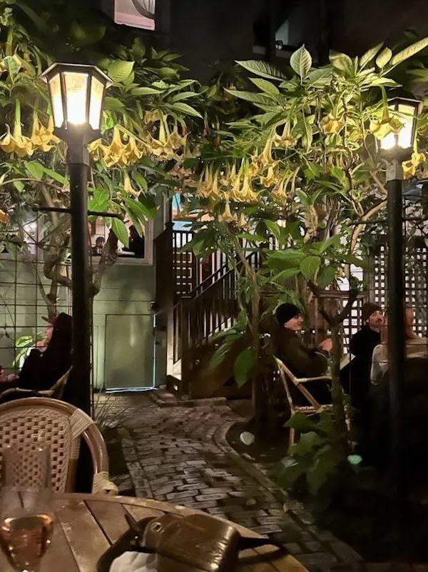 lighting, flowerpot, houseplant, shade, chair, restaurant