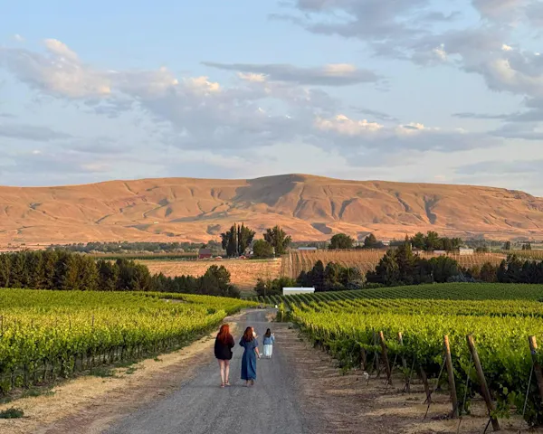 plain, agriculture, field, plantation, vineyard, farm