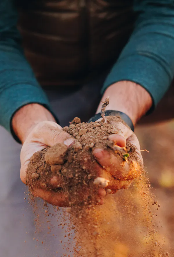 finger, soil, nail