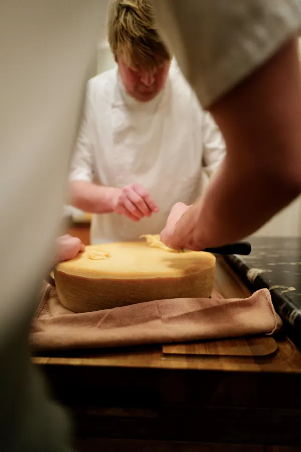 ingredient, food, cheese, cooking, recipe