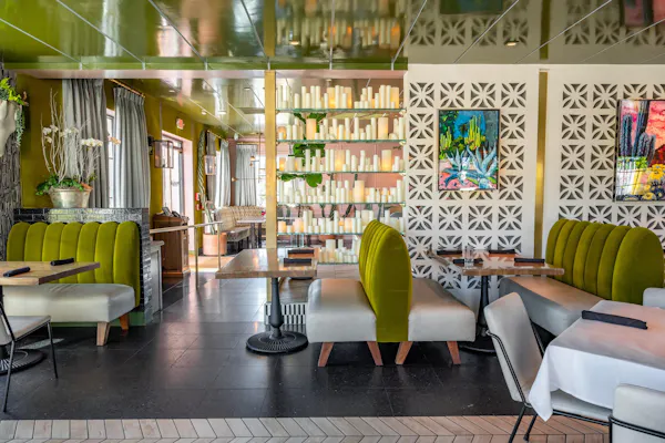 table, furniture, plant, building, houseplant, chair