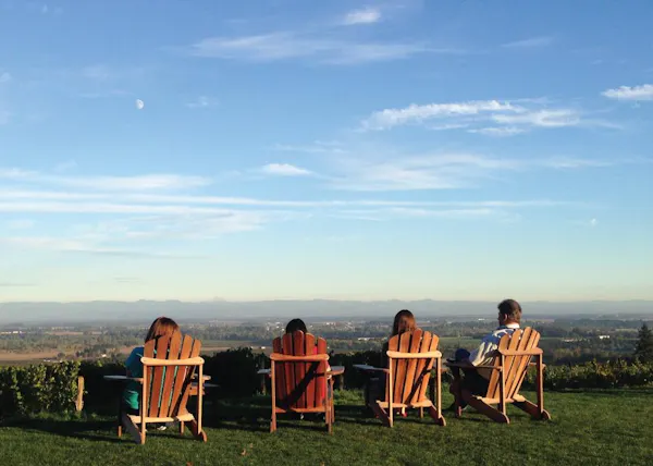 sky, grassland, sitting, cloud, ecoregion, furniture