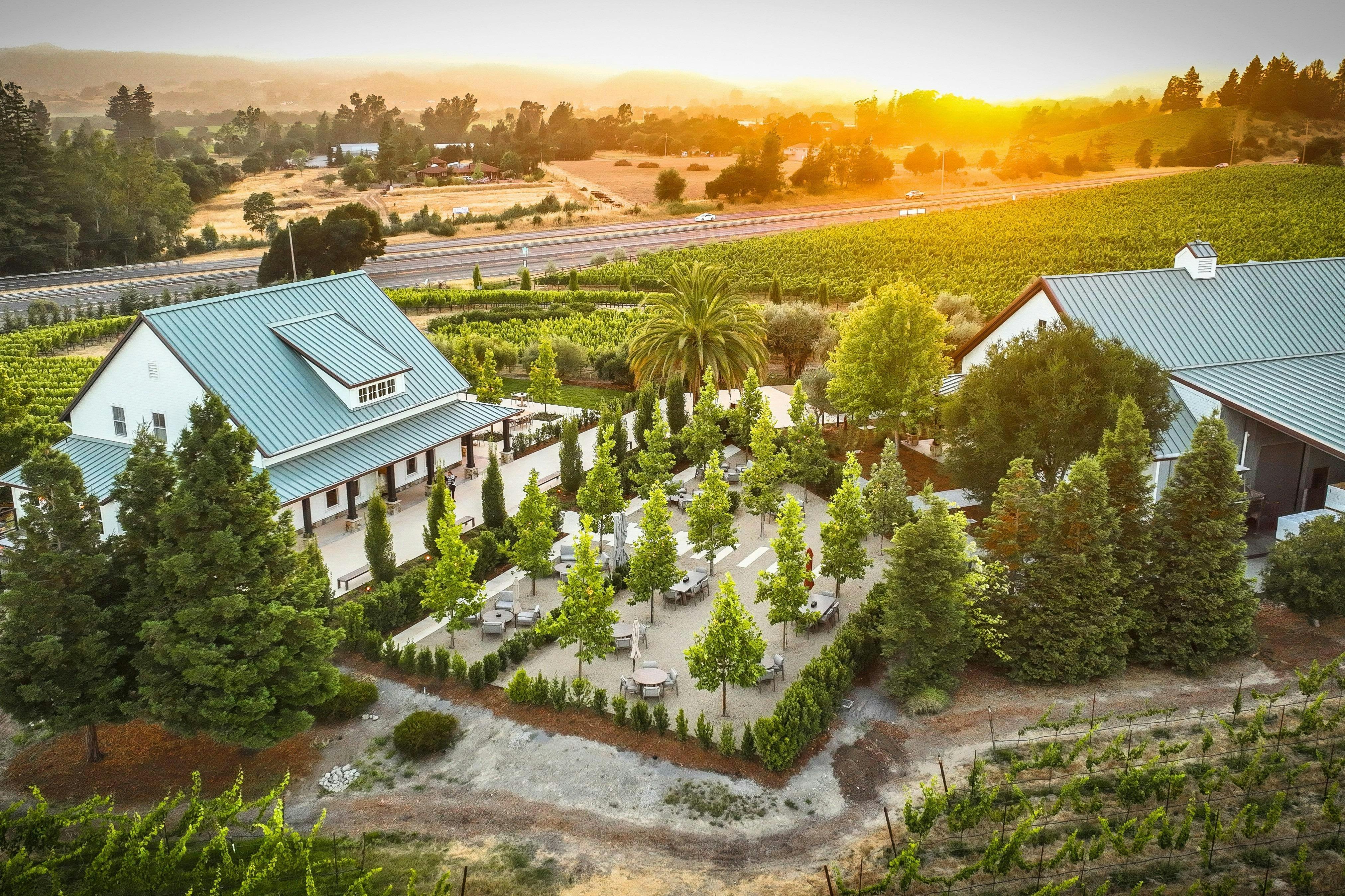 Merriam Vineyards