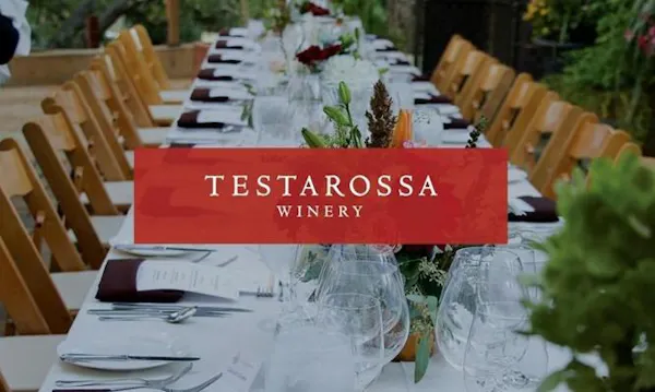 furniture, table, drinkware, tableware, tablecloth, bottle
