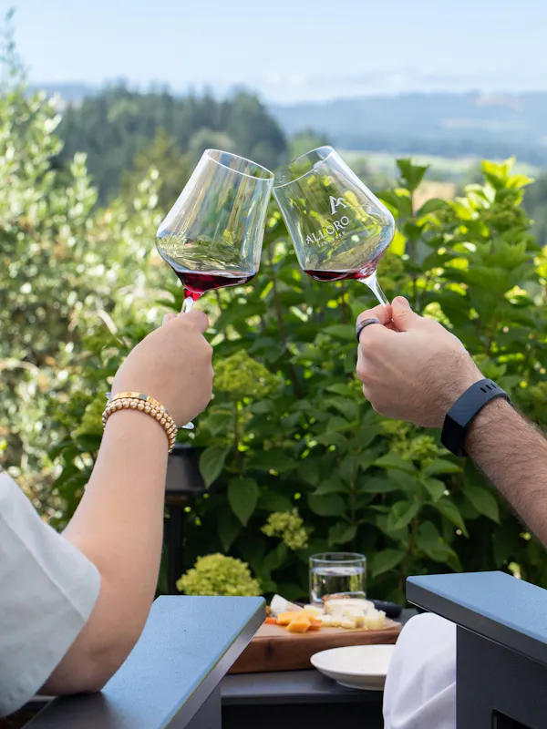 tableware, stemware, drinkware, wine glass, alcoholic drink, barware