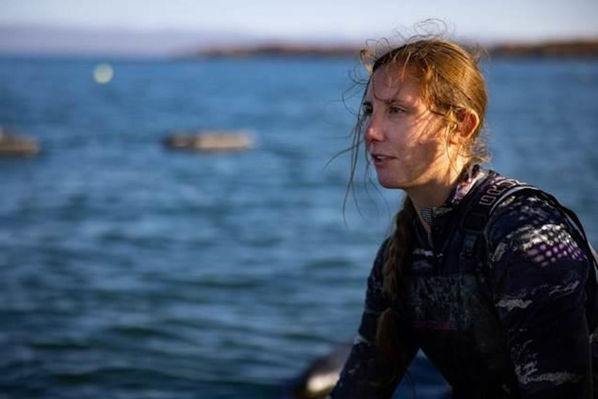 Tipsy Trout Stowe, VT Tock