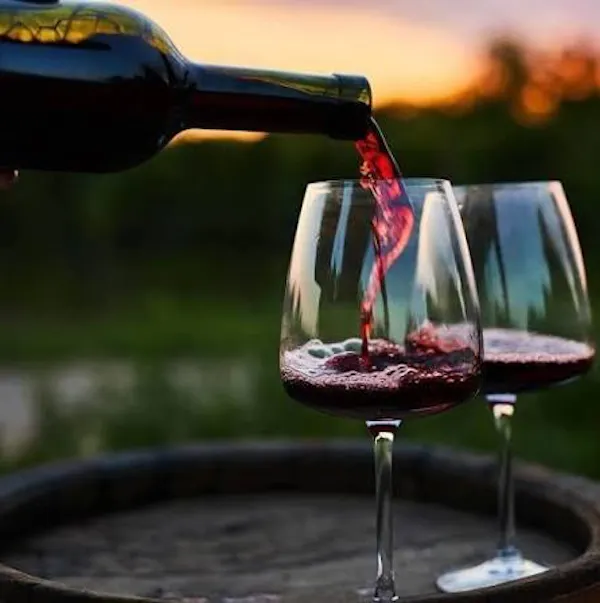 stemware, alcoholic drink, red wine, wine glass, drinkware, tableware