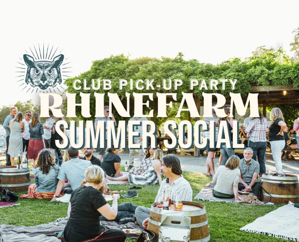 recreation, summer, event, community, leisure, crowd