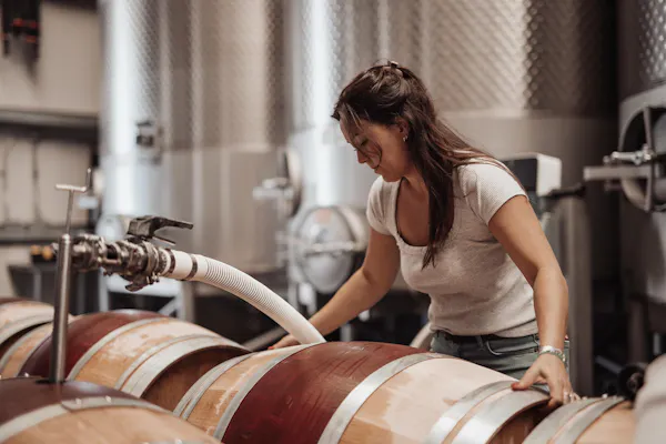 barrel, winery, brewery, wine cellar