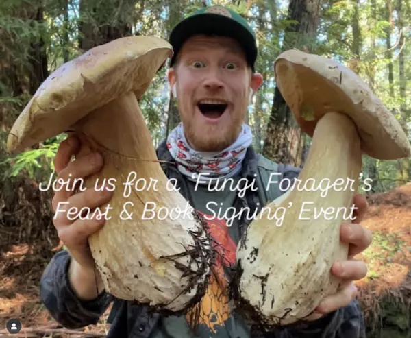 fungus, mushroom, bolete, ingredient, agaricaceae, penny bun