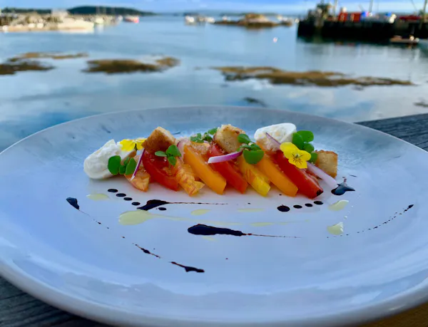 food, ingredient, culinary arts, garnish, dishware, recipe