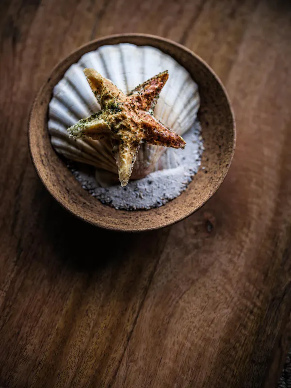 starfish, food, echinoderm, natural material, still life photography, still life
