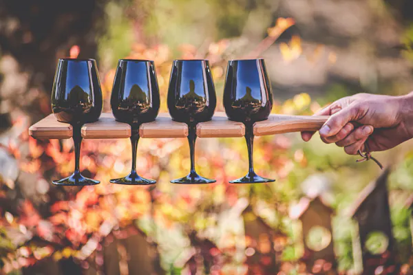 hand, plant, drinkware, stemware, leaf, sunlight