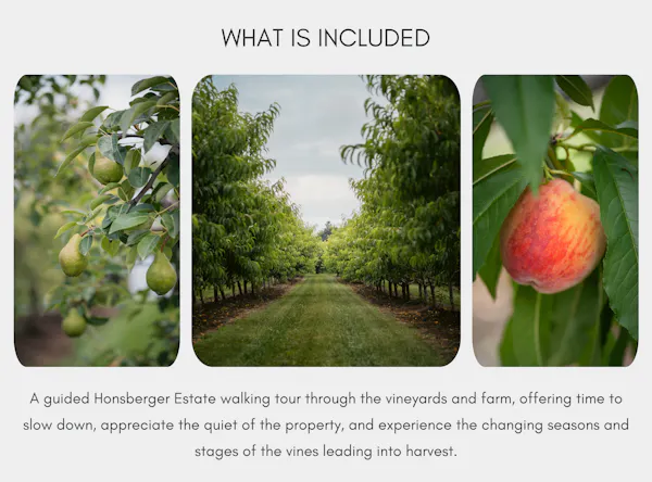 fruit, fruit tree, produce, natural foods, food, plantation