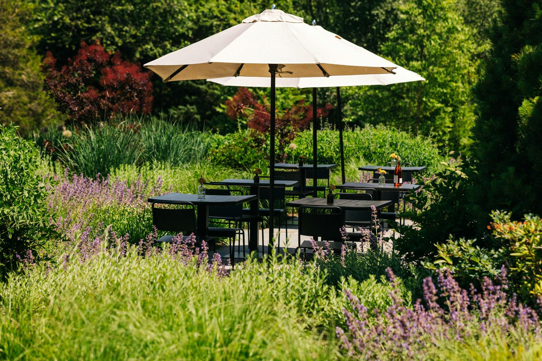 Meadowlark North Fork by Macari Vineyards Cutchogue, NY Tock