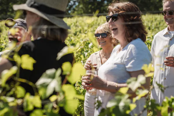 hat, sun hat, sunglasses, spring, people in nature, cap