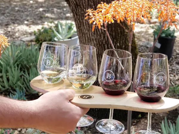 stemware, tableware, drinkware, wine glass, barware, champagne glass