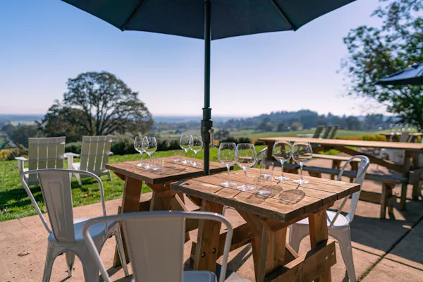 furniture, outdoor furniture, table, outdoor table, chair, umbrella