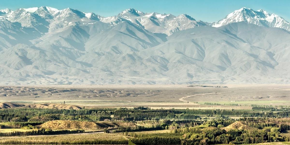 Noble Riot Wine Bar Denver, CO Tock