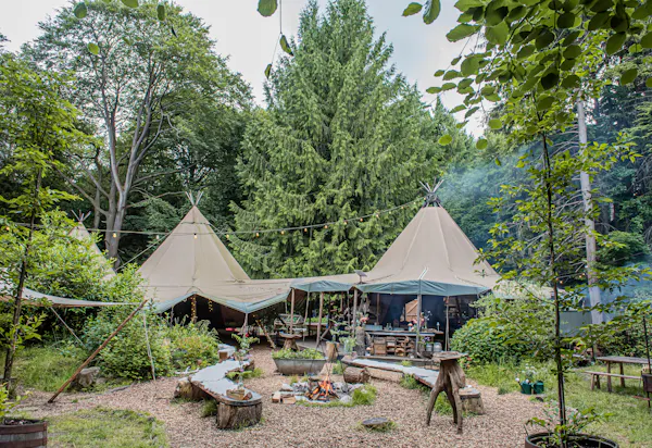 camping, tent, recreation, plant community, tarpaulin, leisure