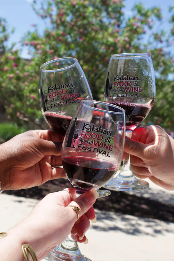 stemware, drinkware, tableware, alcoholic drink, wine glass, barware