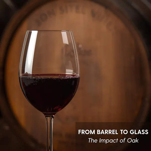 stemware, wine glass, alcoholic drink, tableware, liquid, champagne glass