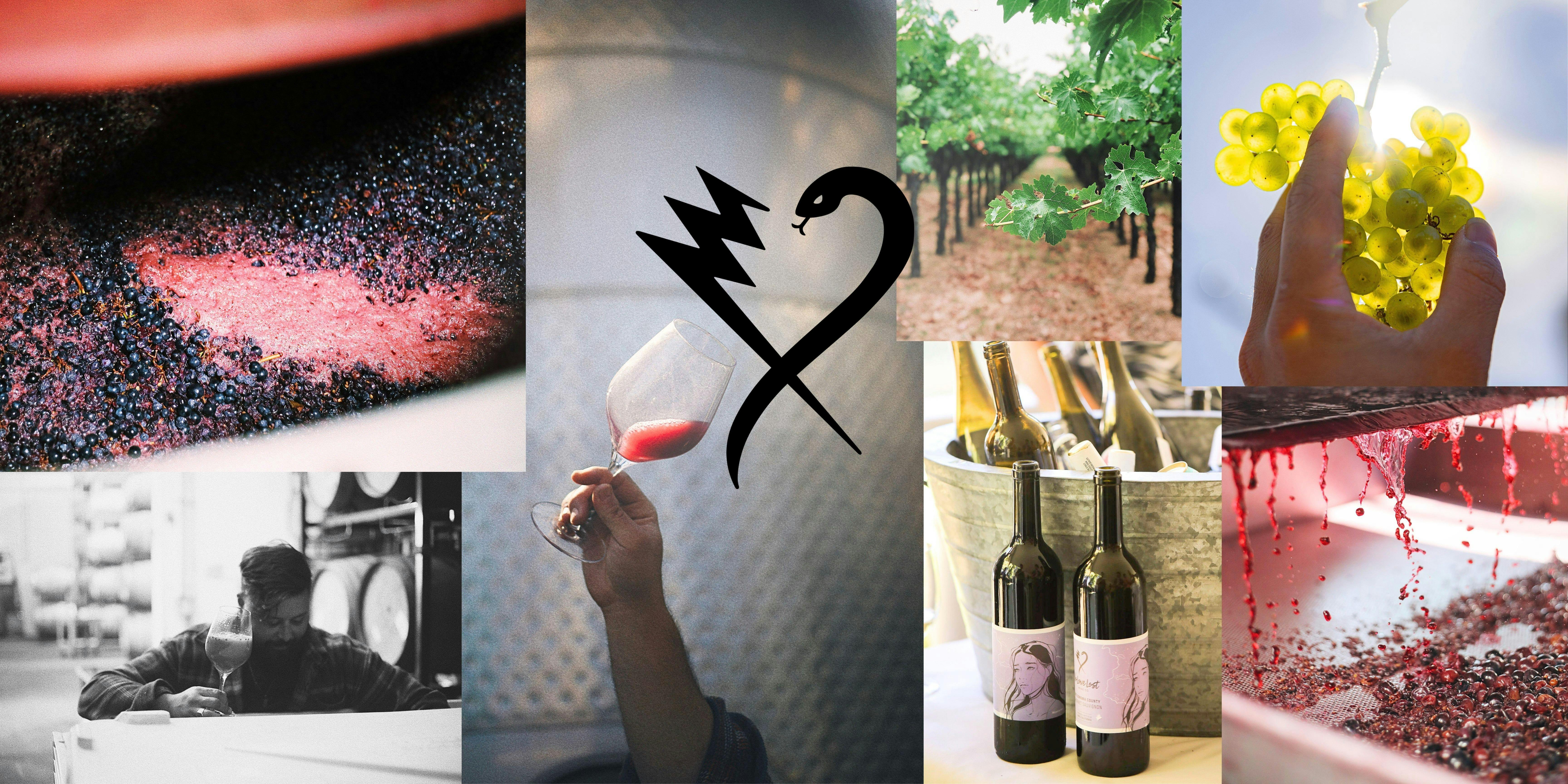 No Love Lost Wine Co Napa