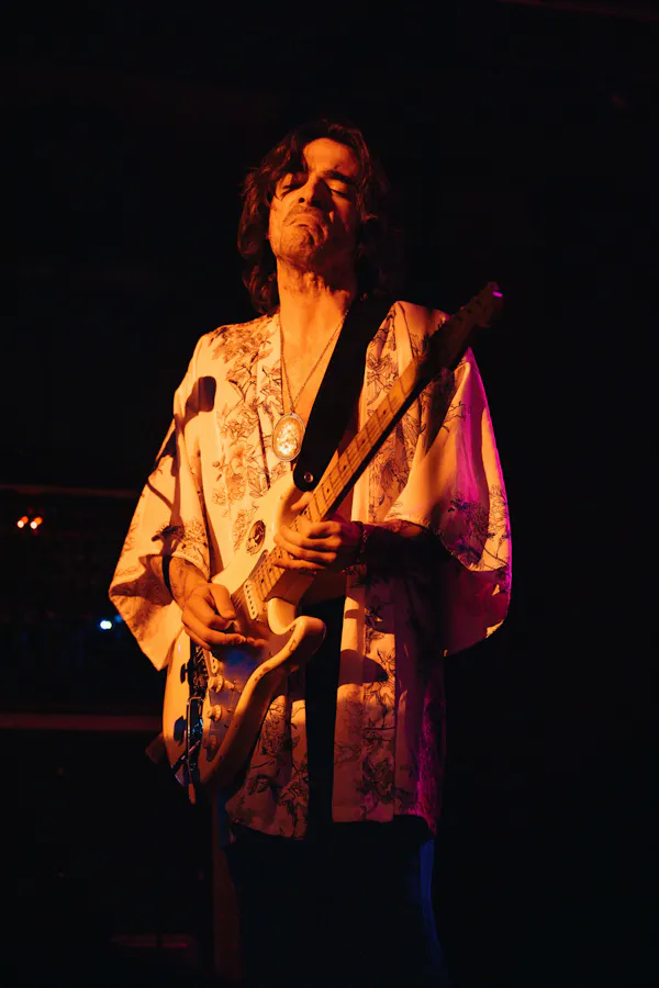 string instrument, musical instrument, plucked string instrument, chordophone, guitarist, guitar