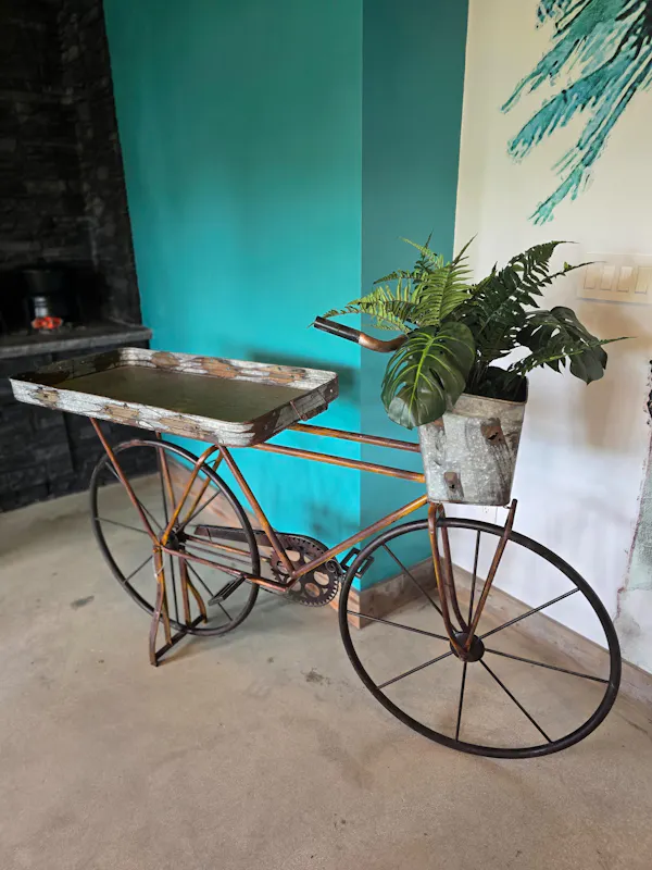 plant, table, flowerpot, azure, houseplant, wheelbarrow