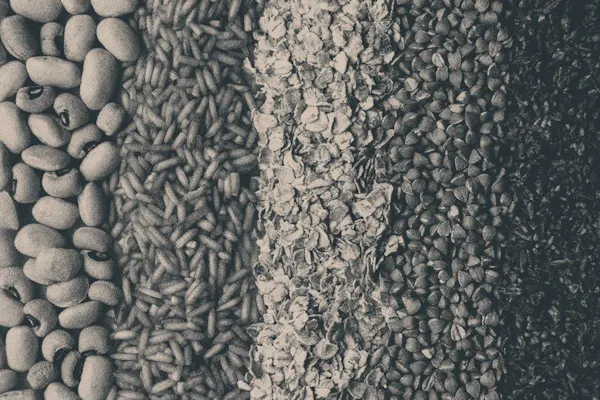 close-up, seed, natural material, gravel, nuts & seeds