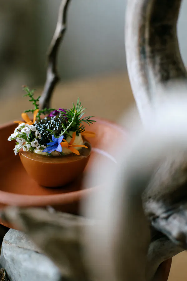 flowerpot, houseplant, plant stem, pottery, flower arranging, vase