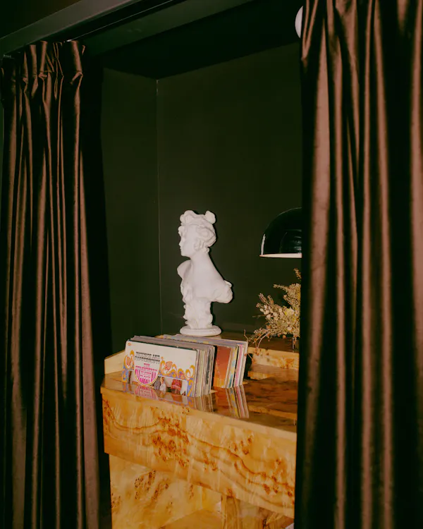 window, curtain, wood, chair, plant, floor