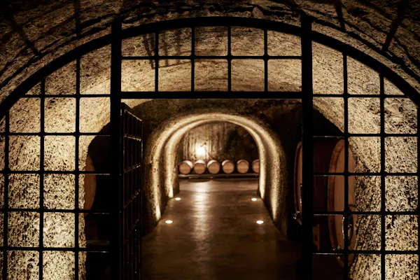 barrel, winery, brown, arch, wine cellar, basement